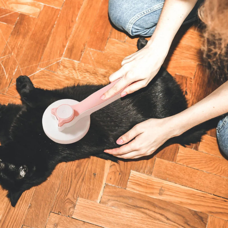 Cepillo para mascotas 2 en 1