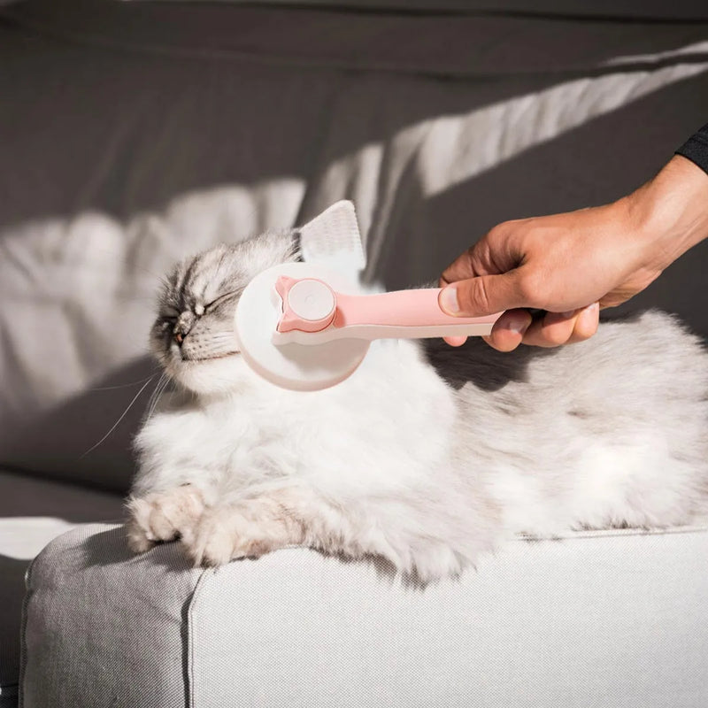 Cepillo para mascotas 2 en 1