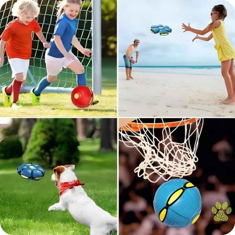 Pelota Juguete Voladora